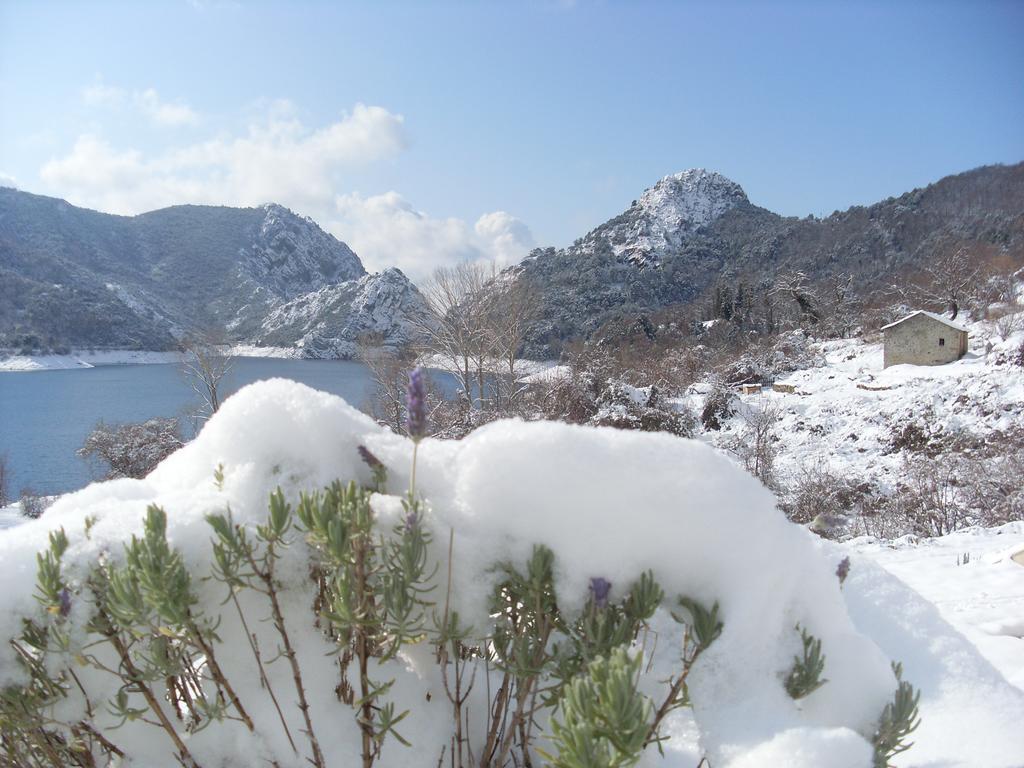 Cote Lac Tolla الغرفة الصورة