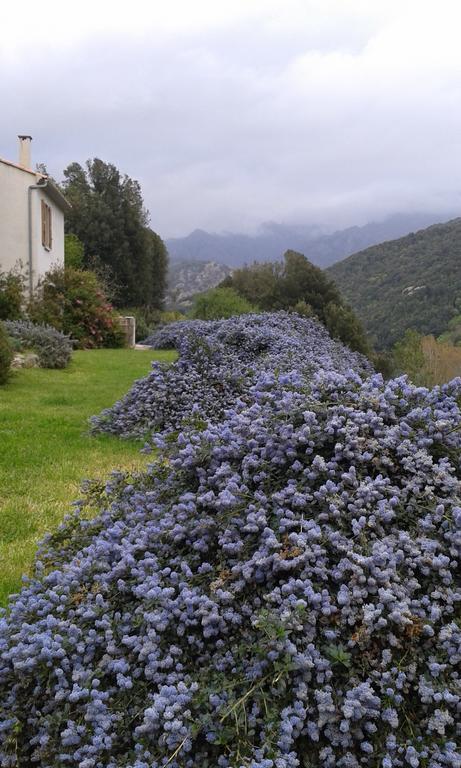 Cote Lac Tolla المظهر الخارجي الصورة